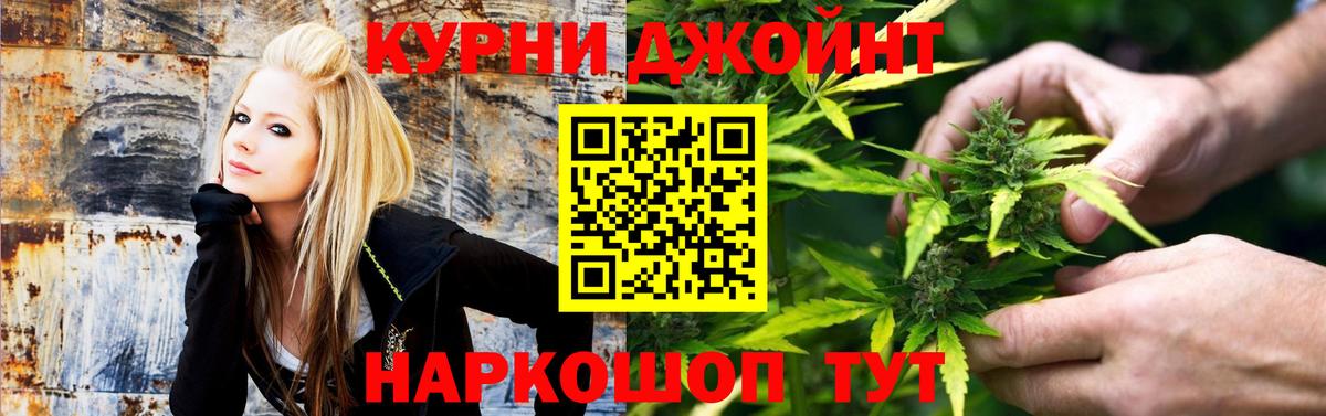 Бошки марихуана SATIVA & INDICA  Бошки Шишки тримм  Вход с VPN  Прохладный  Марихуана конопля  Канабис планчик 